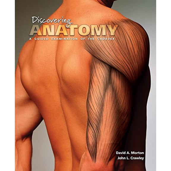 Pre-Owned Discovering Anatomy, 9781617316166, 1617316164, Paperback, 1 edition