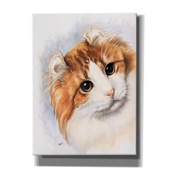 Epic Graffiti 'American Curl 2' by Barbara Keith, Canvas Wall Art, 40"x54"