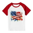 thumbnail image 4 of Ugoldhm Boys Printed Short Sleeve Tees T-Shirts Breathable Fourth of July Crew Neck Summer Tops Size 3-14, 4 of 7