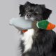 thumbnail image 5 of Juguete para morder para perros, pato de dibujos animados moldeado, juguete para masticar perros, juguete Molar para perros, 5 of 5