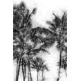 thumbnail image 2 of Miamee, Golie 17x24 White Modern Wood Framed Museum Art Print Titled - Dorado Palms 1, 2 of 4