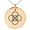 Rose, variant on Stainless Steel Celtic Five Fold Fifth Elements Engraved Small Medallion Circle Charm Pendant Necklace