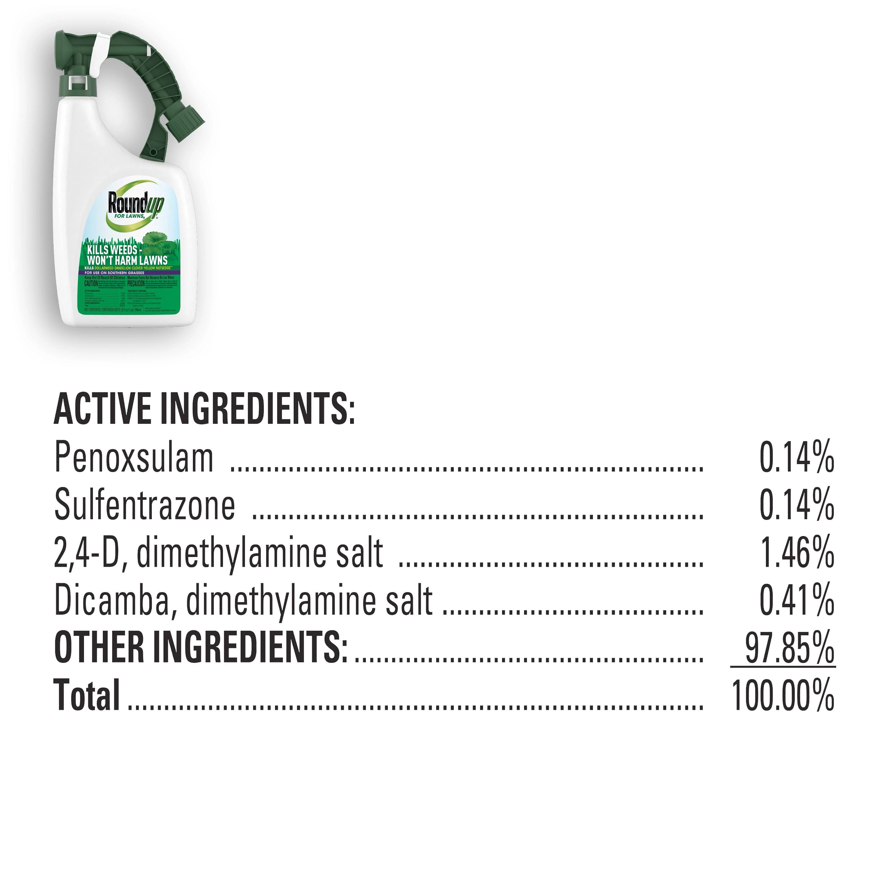 Roundup For Lawns₆ Ready-To-Spray, for Use on Southern Grasses, 32 fl. oz.