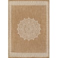 thumbnail image 2 of HJTER Outdoor Rug 5x7 Medallion Natural Modern Area Rugs for Indoor and Outdoor Patios Kitchen and Hallway Mats Washable Porch Deck Outside Carpet (Medallion Natural 5 x 7), 2 of 9