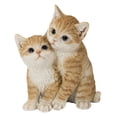 thumbnail image 1 of KITTENS HUGGING - ORANGE, 1 of 4
