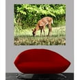 thumbnail image 2 of Wallhogs Batie Grazing Fawn Wall Mural, 2 of 2