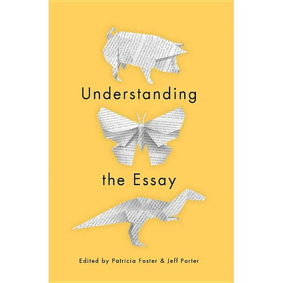 Understanding the Essay, (Paperback)