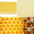 thumbnail image 2 of 30 Hojas de de Abejas, Base de Natural para Marcos de Abejas, Hojas de Base de Abejas para Fabricación de Velas (16,34 X 7,68 Pulgadas), 2 of 6