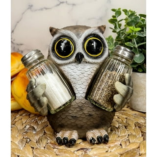 White Ceramic Owl Salt & Pepper Shakers w/Tray - Davis Designs