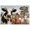 Unframe-style, variant on Farmhouse Wall Art Rustic Cow Pig Chicken Sheep Live Like Gate Open Decor