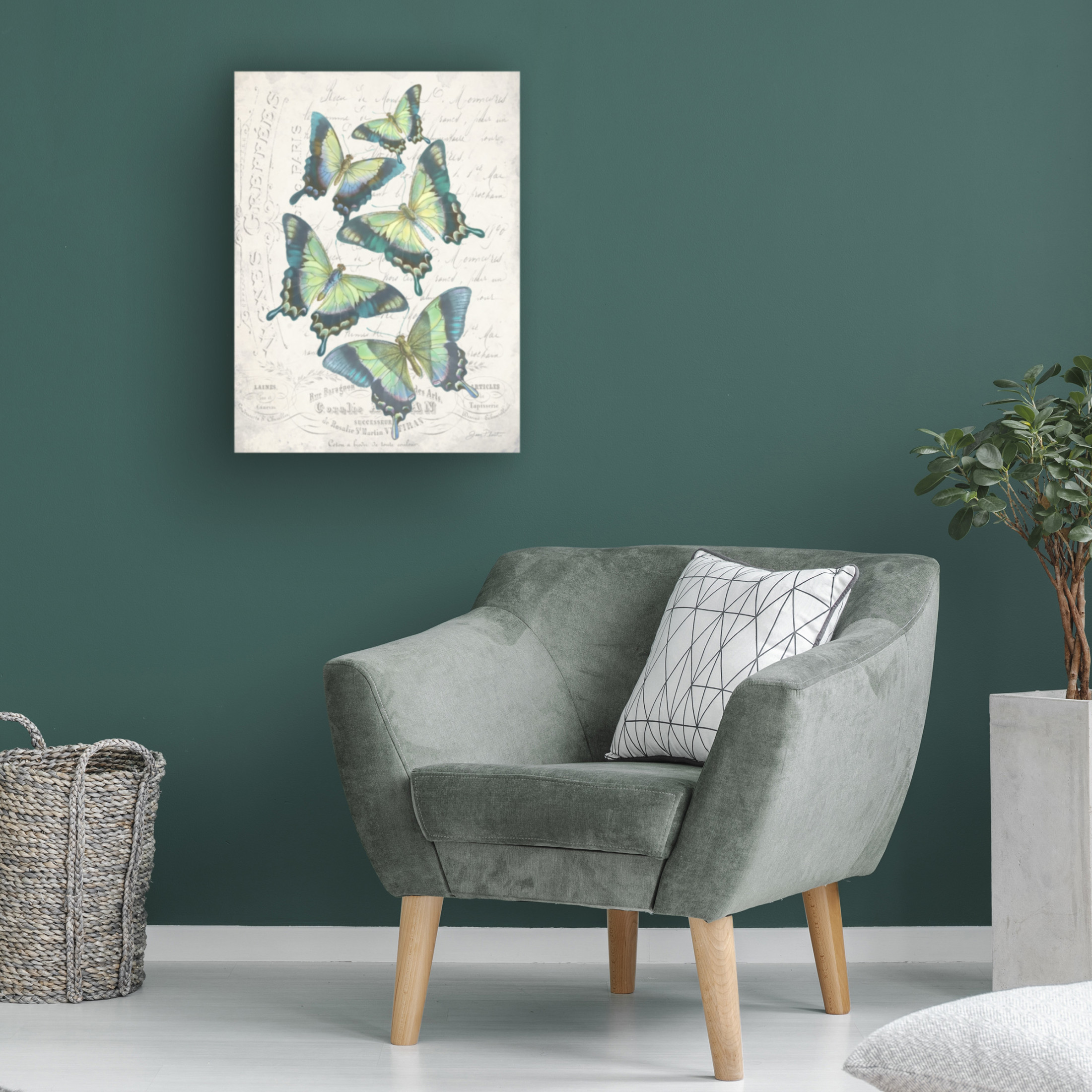 Canvas Wall Art - Jean Plout 'Gorgeous French Butterflies' Wall Art for Living Room, Bedroom, or Office Décor by Trademark Fine Art - 14 x 19 Inches