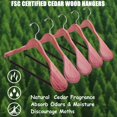 View all media