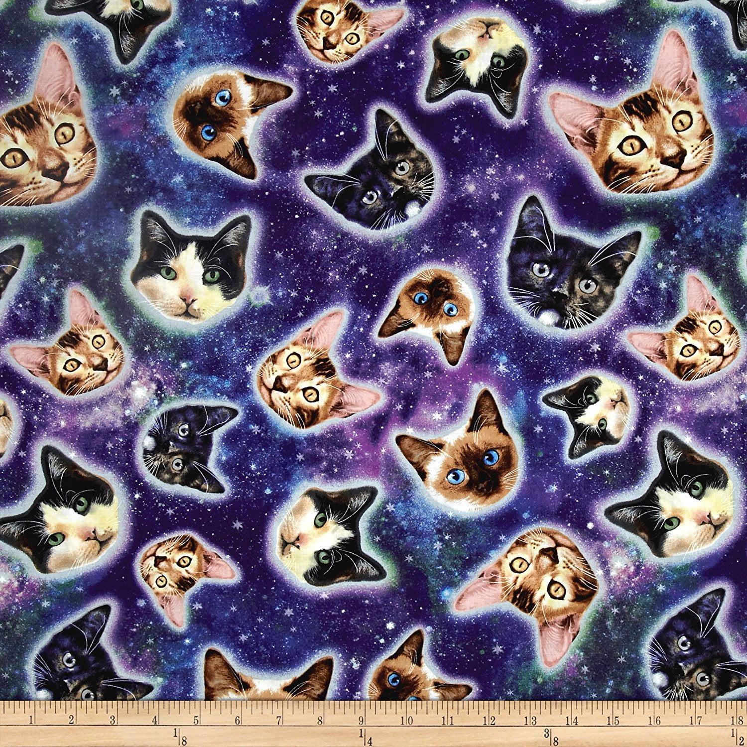 cat in galaxy