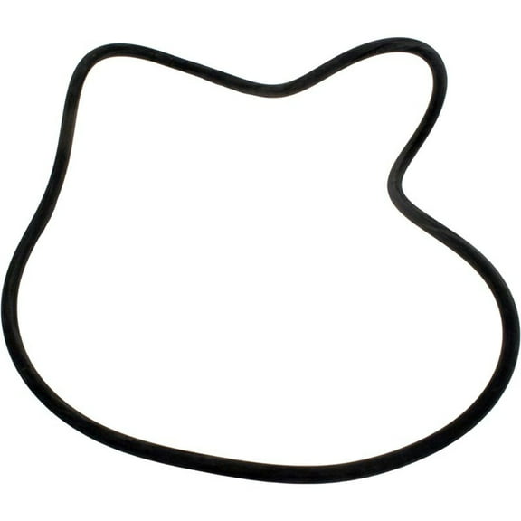 Sta-rite System 3 S7S50, S7M120 Cartridge Filter 21" O'Ring