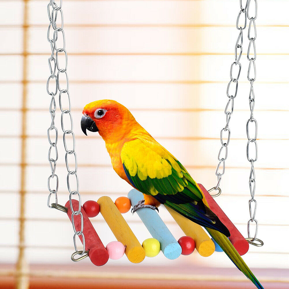 PET *Bird Parrot Parakeet Budgie *Cockatiel Cage Hammock Swing Toys Hanging Toy
