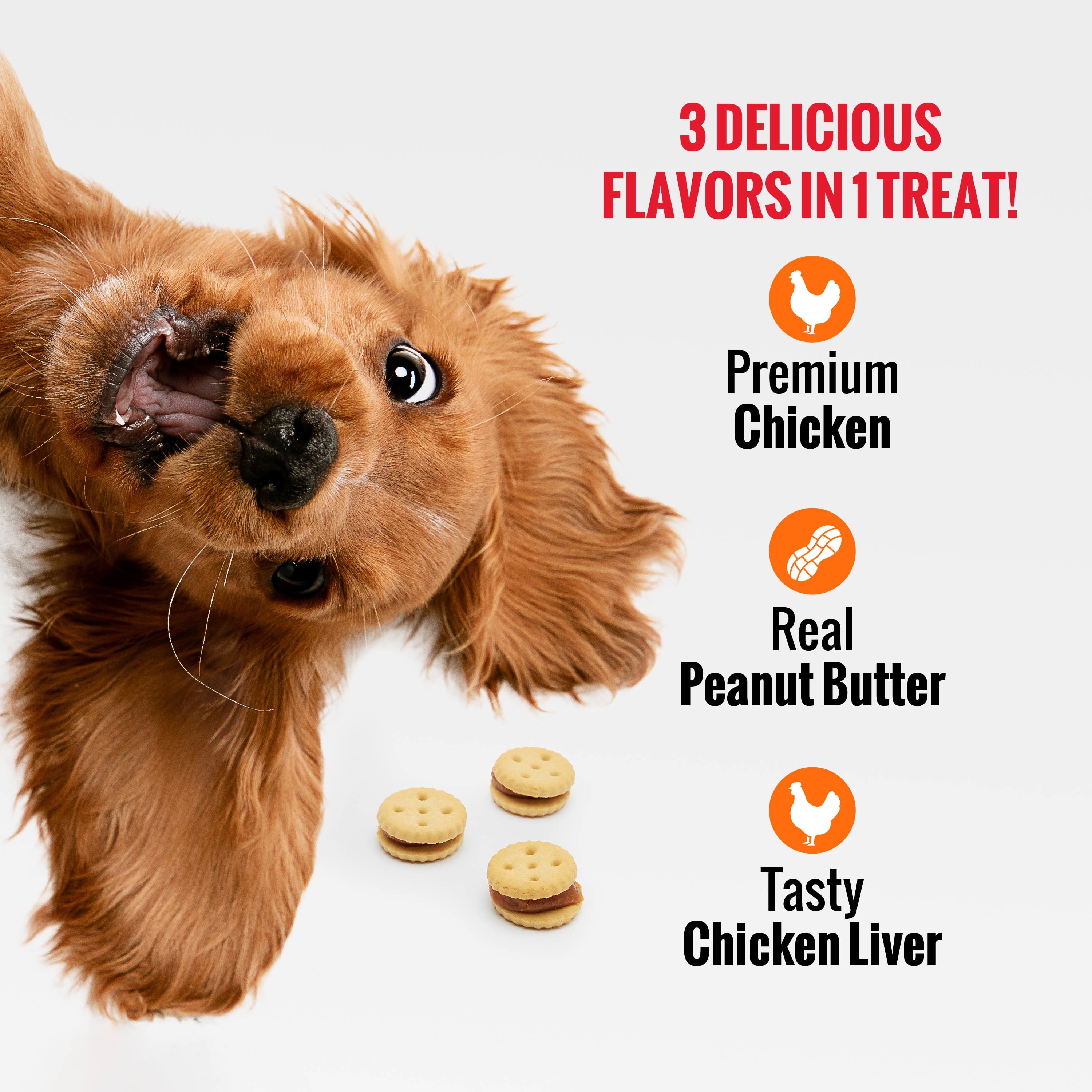 (4 pack) Good ‘n’ Tasty Triple Flavor Stacks, Treats for All Dogs with Chicken and Peanut Butter, 9 oz