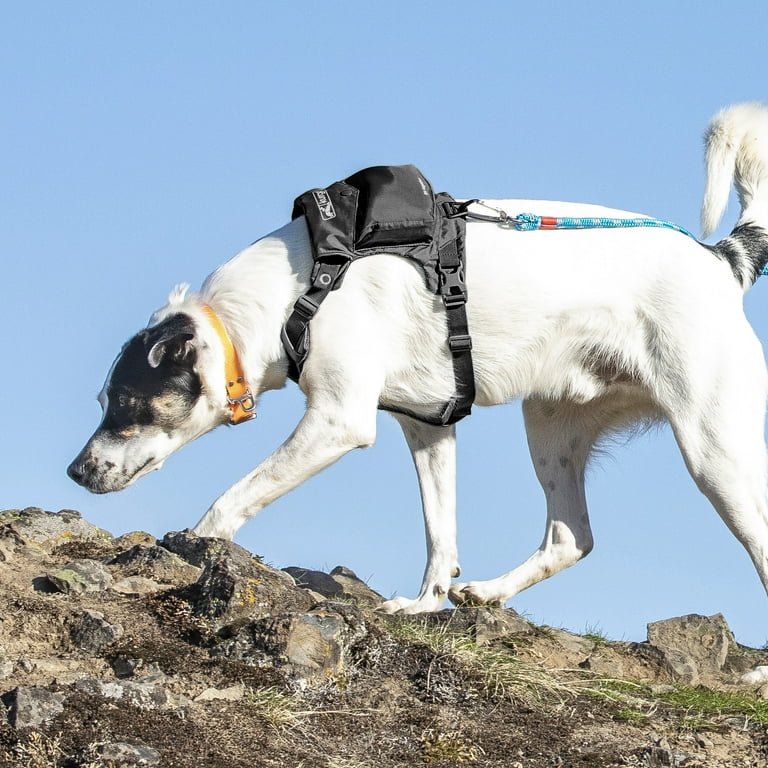 Free Shipping! Kurgo Stash n Dash Dog Harness, Lightweight Free Shipping! Kurgo Stash n Dash Dog Harness, Lightweight