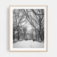 thumbnail image 2 of Snowy Central Park 02 B&W - Manhattan New York Photography Unframed Wall Art Print 8 x 10 inches, 2 of 13