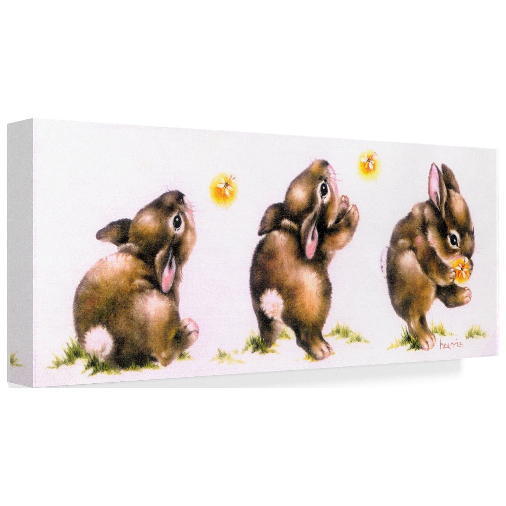 Trademark Fine Art 'Bunny And Lightning Bug' Canvas Art by Peggy Harris