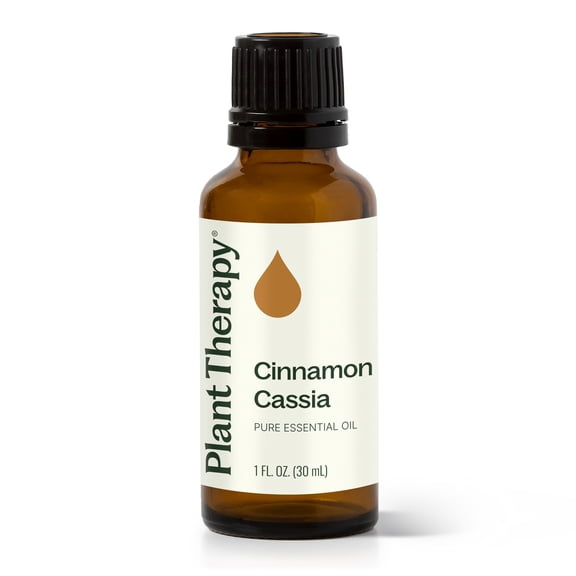 Plant Therapy Cinnamon Cassia Essential Oil 30 mL (1 oz) 100% Pure, Undiluted, Natural Aromatherapy