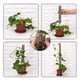thumbnail image 5 of Poste de plástico para musgo de monstera, postes para plantas trepadoras, soporte para plantas de interior, funciona con musgo sphagnum (botella), 5 of 8