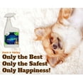 thumbnail image 5 of EXTREME ENZYME CONCENTRATE, Pet Stain & Odor Eliminator (makes 2 gallons) with Powerful Urine Remover and Plant based surfactants. FRAGRANCE FREE, safe for pets, 5 of 6