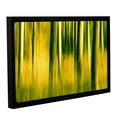thumbnail image 2 of ArtWall Lindsey Janich "Camera Shake 2" Gallery-Wrapped Floater-Framed Canvas, 2 of 2