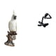thumbnail image 5 of Estatua De Loro Pensador, Escultura Animal De Resina, Figura Decorativa De Interior, Adorno Moderno De Mesa Para Escritorio, Mesa, Centro De Mesa, Chimenea, Armario, Estante, Regalo De, 5 of 8