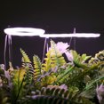 thumbnail image 3 of LED Grow Light Garden Lamp USB Phytolamp Durable Plants Growth Lighting High Quality Indoor Lights For Flowers, 3 of 5
