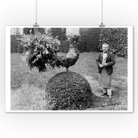 Gardener Next to Rooster Shaped Shrub France Photograph (9x12 Art Print, Wall Decor Travel