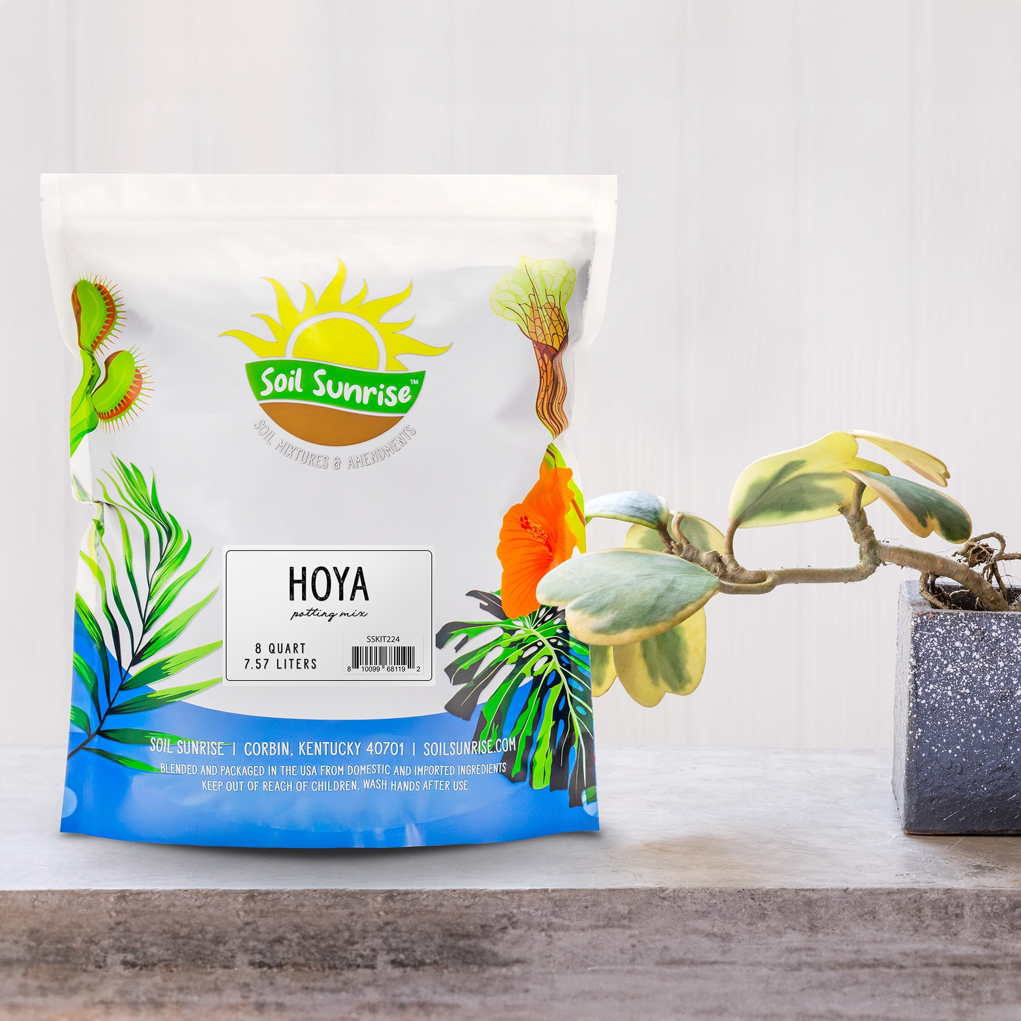 Hoya Plant Potting Soil Mix (8 Quarts), Custom Blend for Growing Hoya Tropical Houseplants