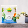 thumbnail image 2 of Hoya Plant Potting Soil Mix (8 Quarts), Custom Blend for Growing Hoya Tropical Houseplants, 2 of 9