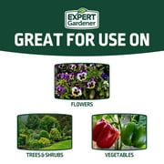 Expert Gardener All Purpose Plant Food Fertilizer 13-13-13 Formula; 40 lb.