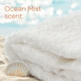 thumbnail image 5 of Tide Pods Light Laundry Detergent Pacs 57 Count Ocean Mist Scent Powerful Clean With A Light And Lasting Scent, 5 of 5