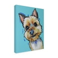 thumbnail image 2 of Hippie Hound Studios 'Yorkie Jaxson' Canvas Art, 2 of 3