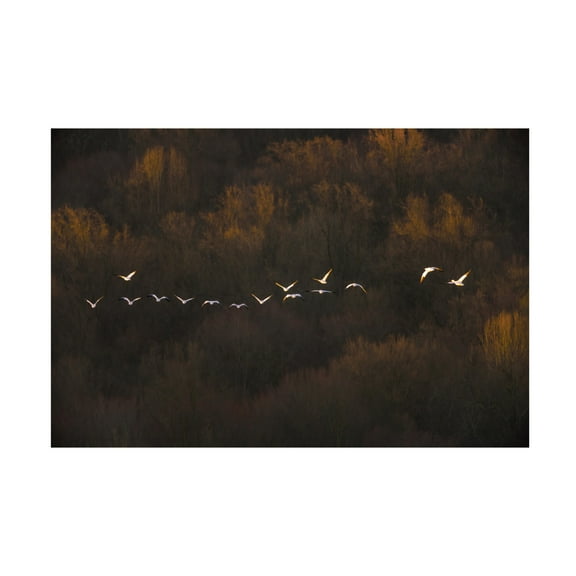 Canvas Wall Art - ??? / Austin 'Morning Mood' Wall Art for Living Room, Bedroom, or Office Décor by Trademark Fine Art - 19 x 12 Inches