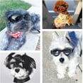 thumbnail image 5 of Dog Goggles Small Dog Sunglasses Medium Adjustable Strap for UV Sunglasses Waterproof Protection for Small Medium Dog - Black, 5 of 5