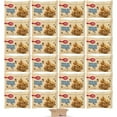 24 Count Pack of 1.24 Oz Chocolate Chip Oatmeal Snack Bars, Value Pack ...