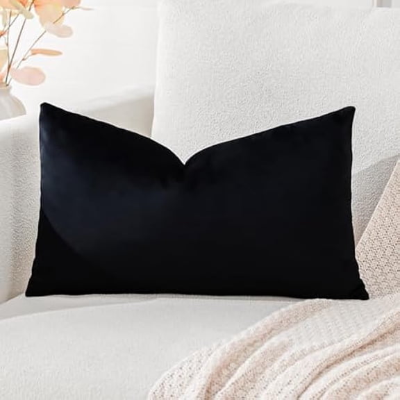Eryueer Luxury Velvet Cushion Covers Super Soft Decorative Throw Pillow Covers Case Lumbar Cushion Cases for Sofa Couch Bedroom Car Decor 30x50cm Black