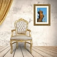 thumbnail image 3 of Haseltine, Tom 11x14 Gold Ornate Wood Framed with Double Matting Museum Art Print Titled - St-Elizabeth-Prague-Capital city of Czech-UNESCO World Heritage Site-Czech Republic-Eastern Europe, 3 of 4