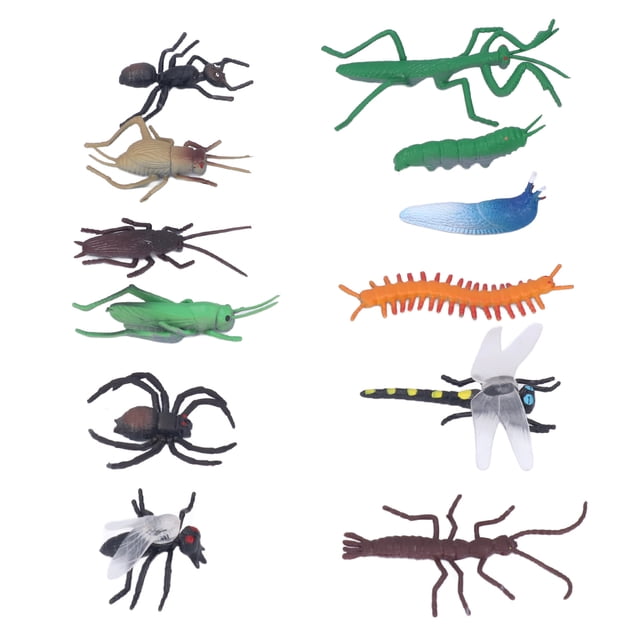 Simulation Model, Lifelike Vivid Exquisite Beautiful Model 12pcs Plastic Material Soft Odorless for Educational Toys
