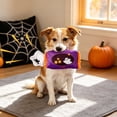 thumbnail image 7 of Qocolcyl Halloween Pet Chew Toy, Squeaky Teething Plaything For Dogs Cats, Spooky Holiday Designs Soft Material Built In Voice Relieve Pet Boredom, 7 of 7