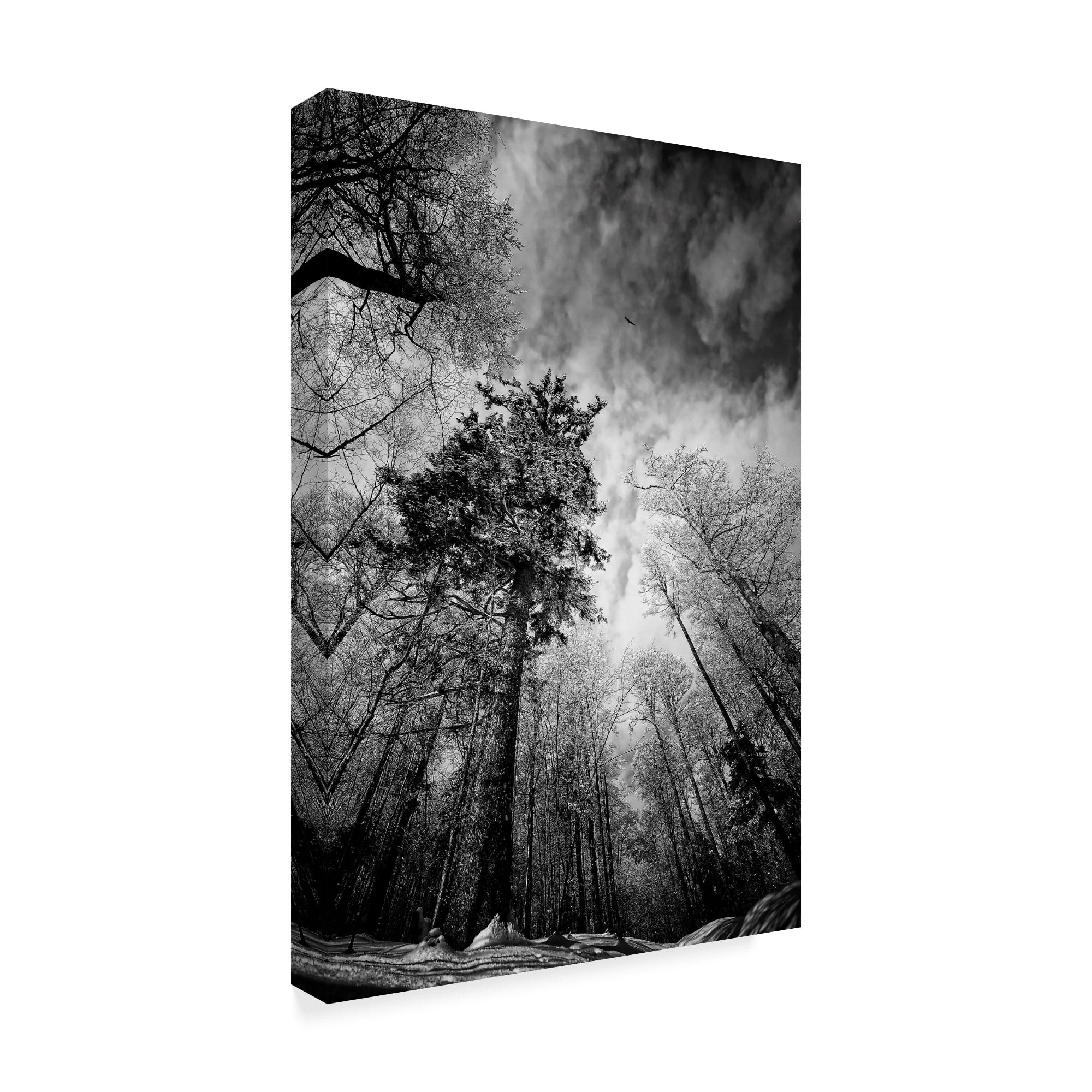 Trademark Fine Art 'Cold Vision' Canvas Art by Philippe Sainte-Laudy