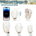 thumbnail image 2 of Sinkoo 15 Pcs Oyster Shells 4"-5" Large Concave Oyster Shells for Crafts Natural Oyster Shells Bulk, for Home Vase Filler, Xmas Ornaments, DIY Arts and Crafts Sea Shells, 2 of 8