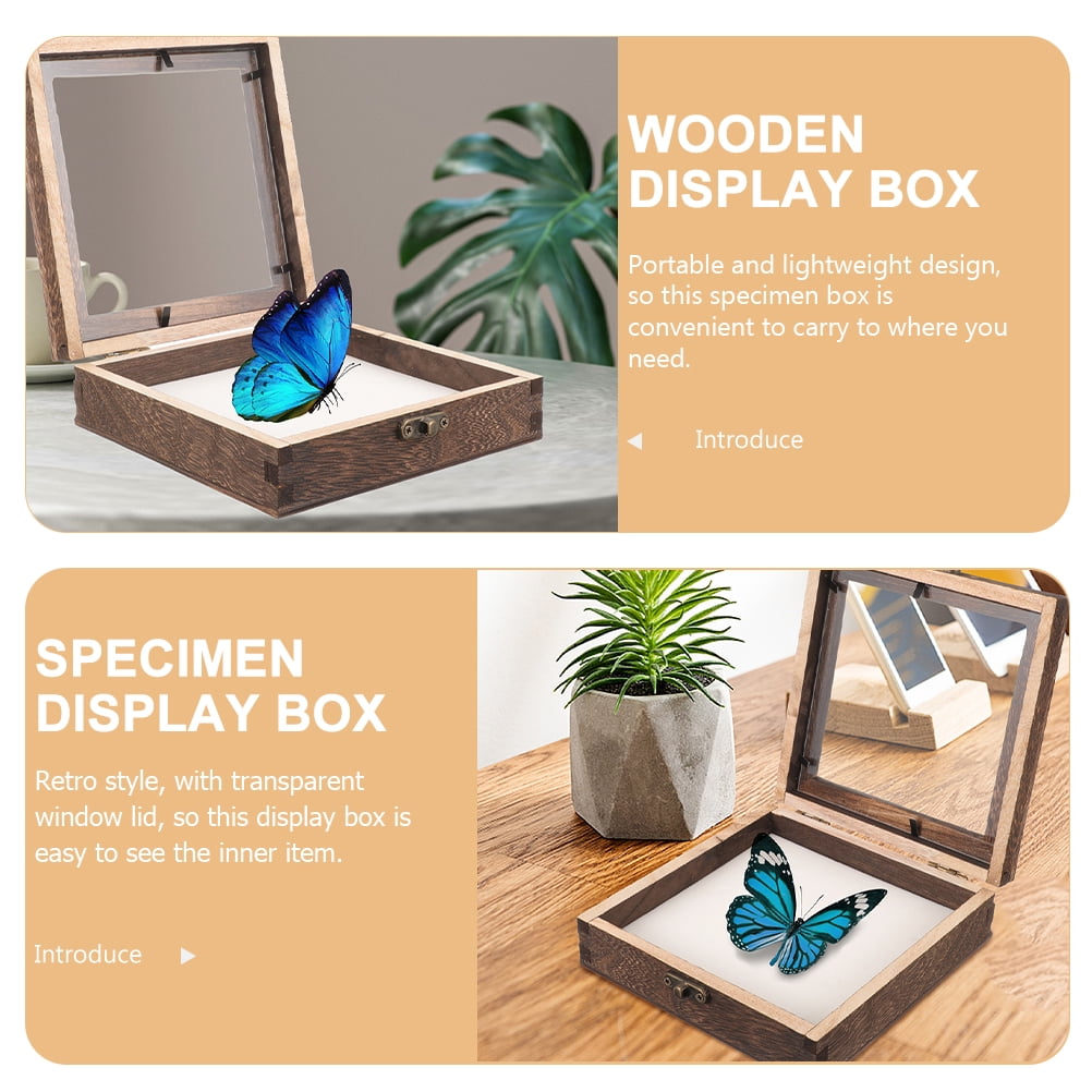 Insect Shadow Box Insect Display Case Box Collection Box With Clear Top ...