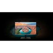 Asus ProArt PA32UCX-PK 32 4K UHD Mini LED LCD Monitor - 16:9 - Black, Black