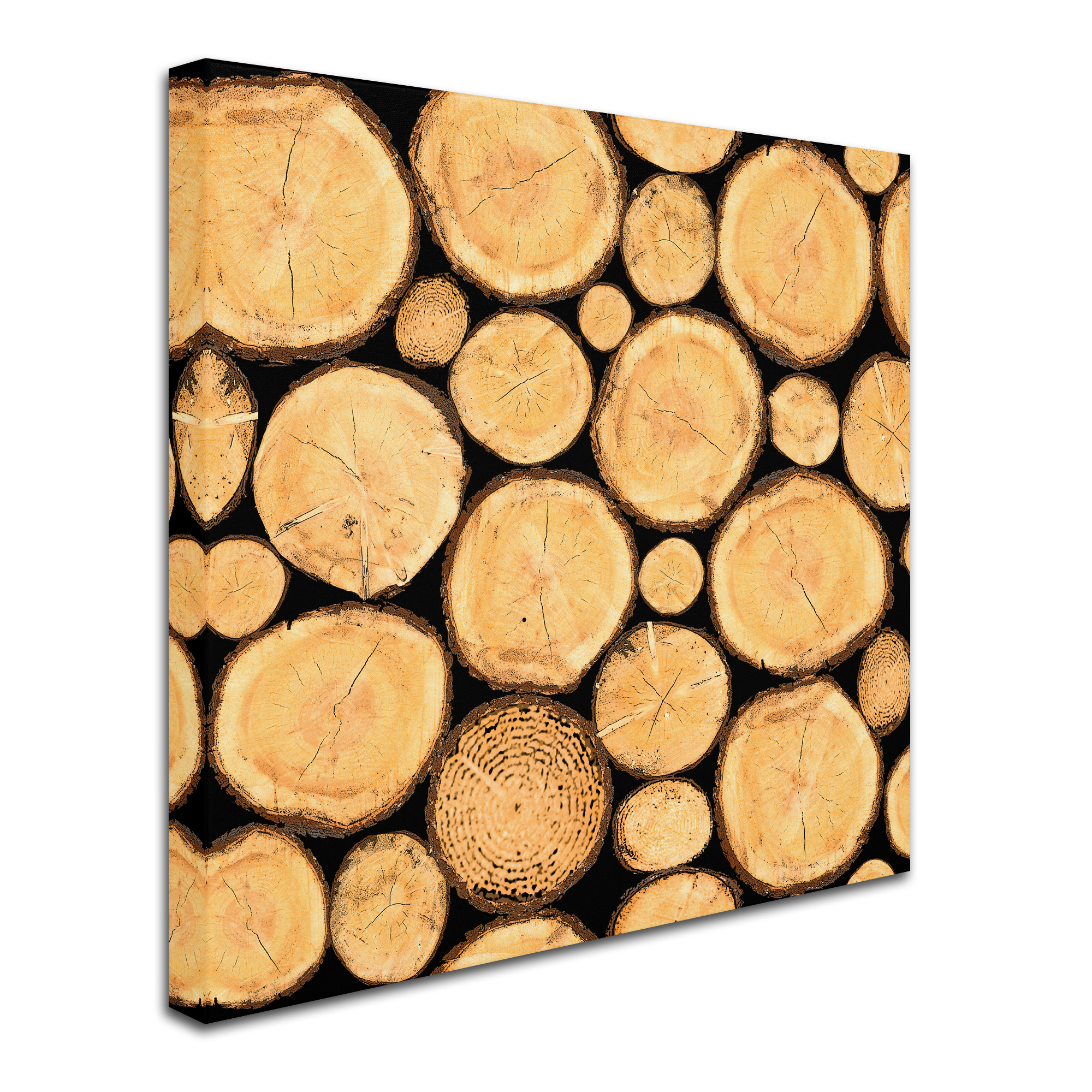 Trademark Fine Art 'Wilderness Lodge H' Canvas Art by Jean Plout