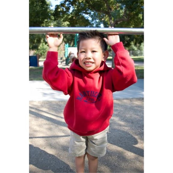 Youth Pullover Hood, Petal - Extra Large