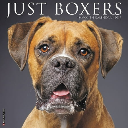 - Just Boxers 2019 Wall Calendar (Dog Breed Calendar) (Other)