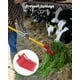 thumbnail image 2 of VEVOR Horca para estiercol de caballo, herramienta de jardinería, 18 dientes en ángulo, horquilla de plástico, rastrillo para heno, 2 of 9